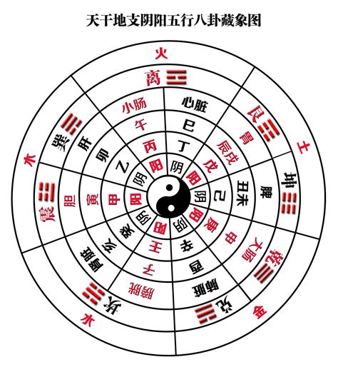 東南西北 五行|【東南方 五行】東南方位五行大揭秘：解開風水中不容錯過的能。